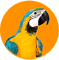 Для птиц