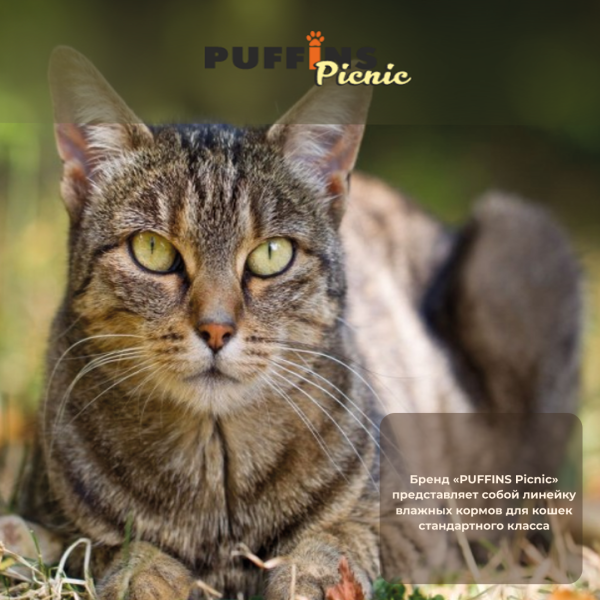Упаковка 26 паучей для кошек PUFFINS PICNIC Мясное ассорти в соусе